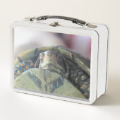 Schildpad (Voorkant)