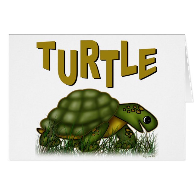Schildpad (Voorkant Horizontaal)
