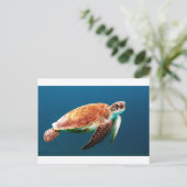 schildpad-863 briefkaart (Staand voorkant)