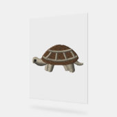 Schildpad Acryl Bord (Hoek)