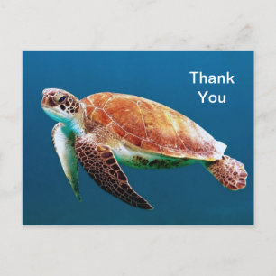 Schildpad Blau Water Zee Foto Bedankt Briefkaart
