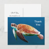 Schildpad Blau Water Zee Foto Bedankt Briefkaart (Voorkant / Achterkant)