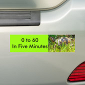 Schildpad Bumpersticker (Op auto)