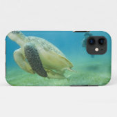 Schildpad Case-Mate iPhone Case (Achterkant (horizontaal))