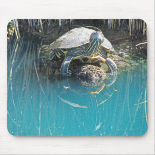Schildpad door Waters Edge Rustig Natuur Fotografi Muismat