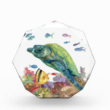 Schildpad en vissen in de zee