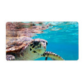 Schildpad Etiket (Voorkant)