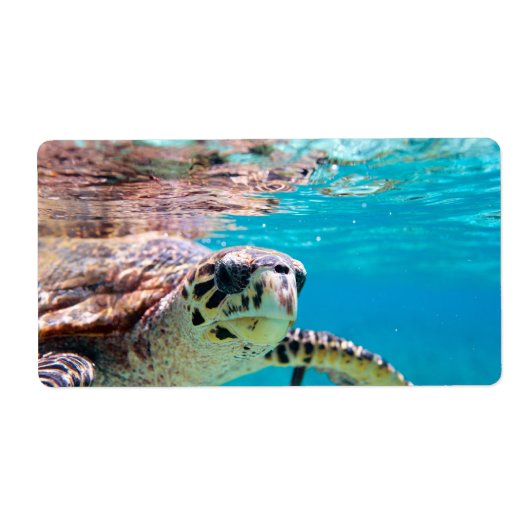 Schildpad Etiket (Voorkant)