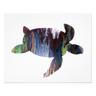 Schildpad Foto Afdruk