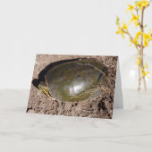 "Schildpad" - Hartelijk dank - Kaart (Gele Bloem)