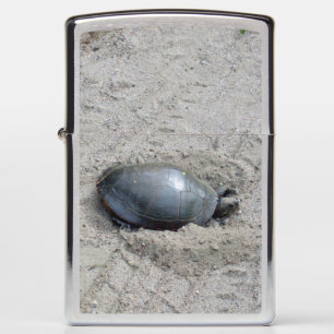 Schildpad in de zand
