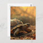 Schildpad in het wild briefkaart (Voorkant / Achterkant)