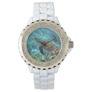 Schildpad in het zee horloge