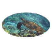 Schildpad in het zee snijplank (Hoek)