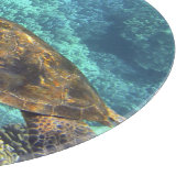 Schildpad in het zee snijplank (Hoek)