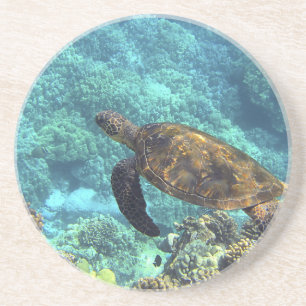 Schildpad in het zee zandsteen onderzetter