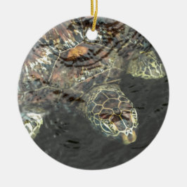 Schildpad in water keramisch ornament