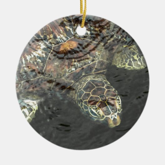 Schildpad in water keramisch ornament (Voorkant)
