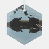 Schildpad Interactie Ornament (Voorkant)