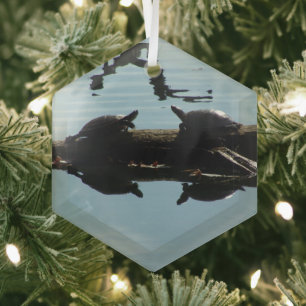 Schildpad Interactie Ornament