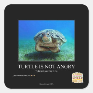Schildpad is niet angstig vierkante sticker