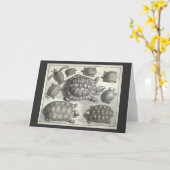  schildpad kaart (Gele Bloem)