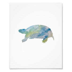 Schildpad Kleurrijke Waterverf Foto Afdruk