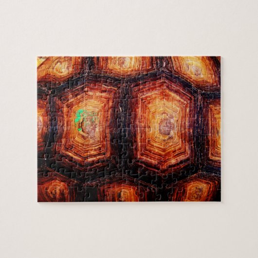 Schildpad Legpuzzel (Horizontaal)