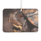 schildpad luchtverfrisser (Achterkant)