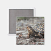 Schildpad Magneet (Voorkant / Achterkant)