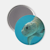 schildpad magneet (Voorkant / Achterkant)