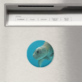 schildpad magneet (Insitu (Vaatwasser))