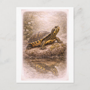 Schildpad met gele buik in vintage-stijl briefkaart