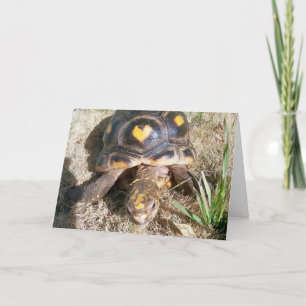 Schildpad met hartpatroon Valentijn Feestdagen Kaart