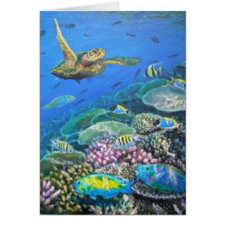 schildpad met parrotvis