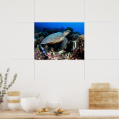 Schildpad met visPoster Poster (Keuken)