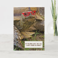 schildpad met zonnebril voor pensionering