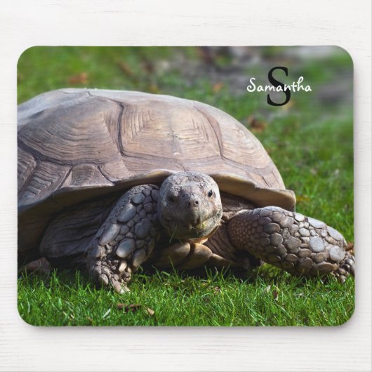 Schildpad Muismat (Voorkant)