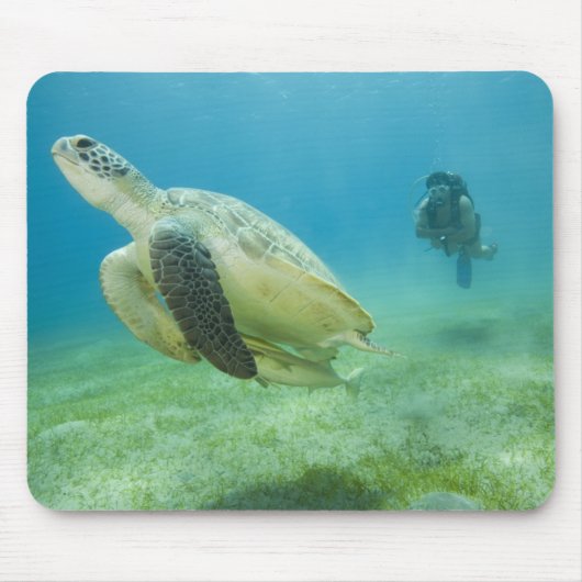 Schildpad Muismat (Voorkant)