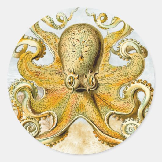 Schildpad Nautical Octopus Kraken Squid Ronde Sticker (Voorkant)