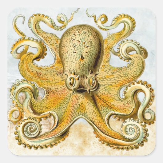 Schildpad Nautical Octopus Kraken Squid Vierkante Sticker (Voorkant)