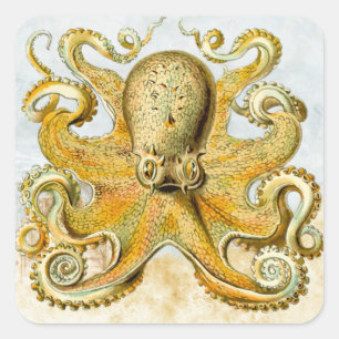 Schildpad Nautical Octopus Kraken Squid Vierkante Sticker