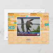 Schildpad ontvluchten briefkaart (Voorkant / Achterkant)