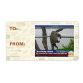 Schildpad ontvluchten etiket (Voorkant)