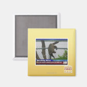 Schildpad ontvluchten magneet (Voorkant / Achterkant)