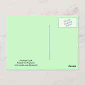 Schildpad op het briefkaart van de vijver (Achterkant)