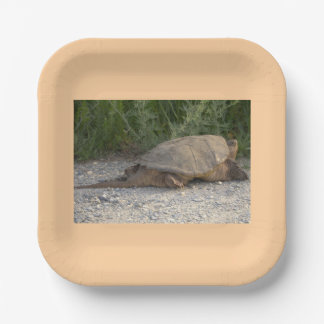 Schildpad Papieren Borden Bordje