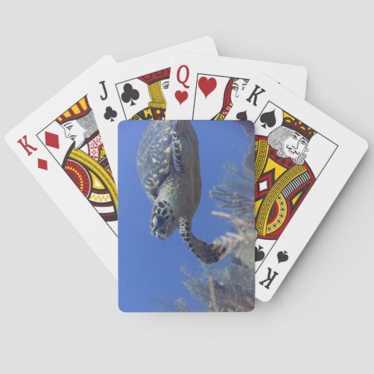 Schildpad Poker Deck (Achterkant)