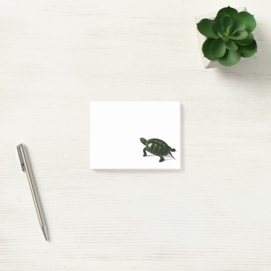  schildpad post-it® notes (Kantoor)
