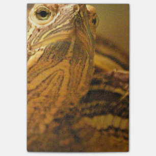 Schildpad Post-it® Notes